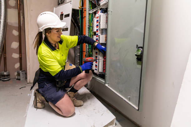 Best Affordable Electrician  in Manistee, MI
