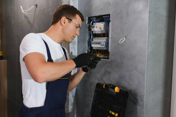 Best Licensed Electrician  in Manistee, MI