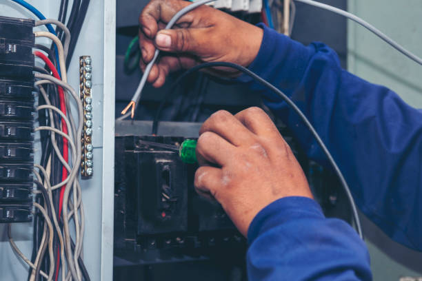 Best Home Electrical Repair  in Manistee, MI
