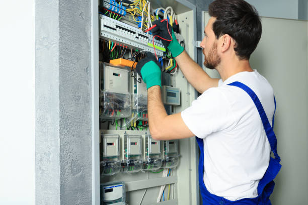 Best Electrical Repair Services  in Manistee, MI
