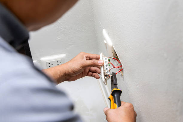 Best Home Electrical Repair  in Manistee, MI