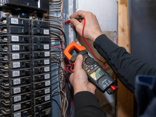 Best Electric Panel Repair  in Manistee, MI